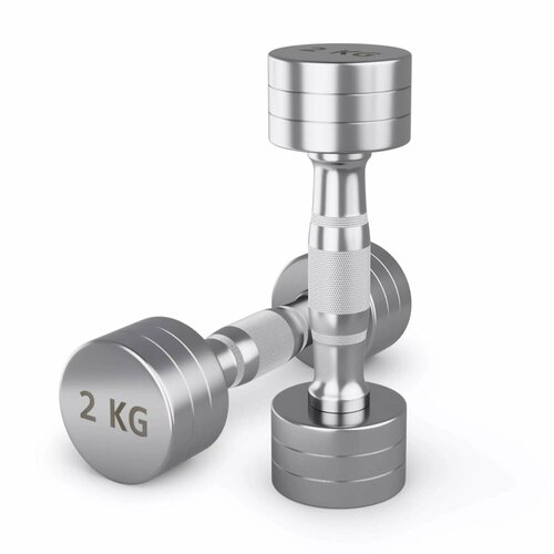Гантель UNIX Fit PRO круглая хромированная, металлическая гантель для фитнеса спортивная, неразборная, 2 кг, 2 шт.