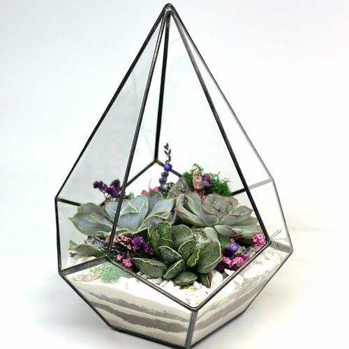 Флорариум с суккулентами 