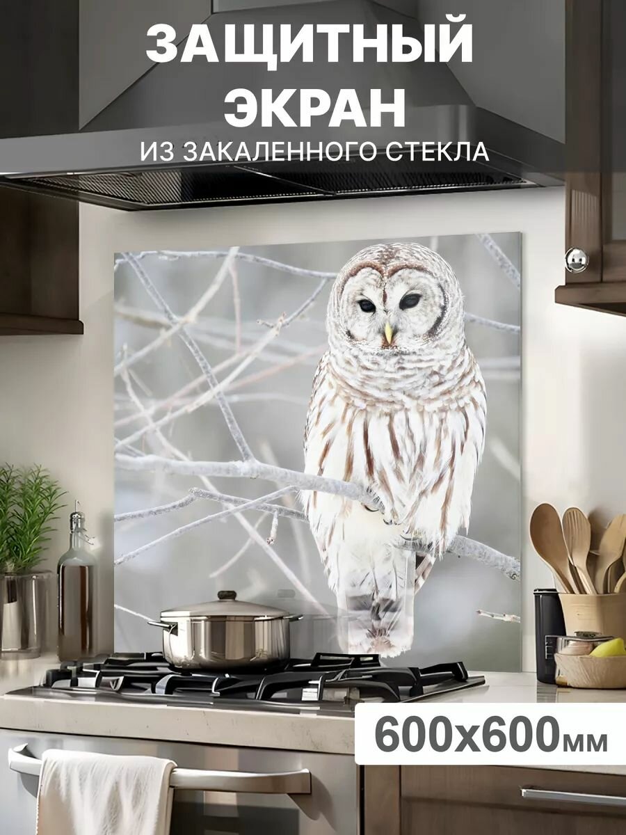 Защитный экран от брызг на плиту 600х600х4мм. Стеновая панель для кухни из закаленного стекла. Фартук для кухни на стену