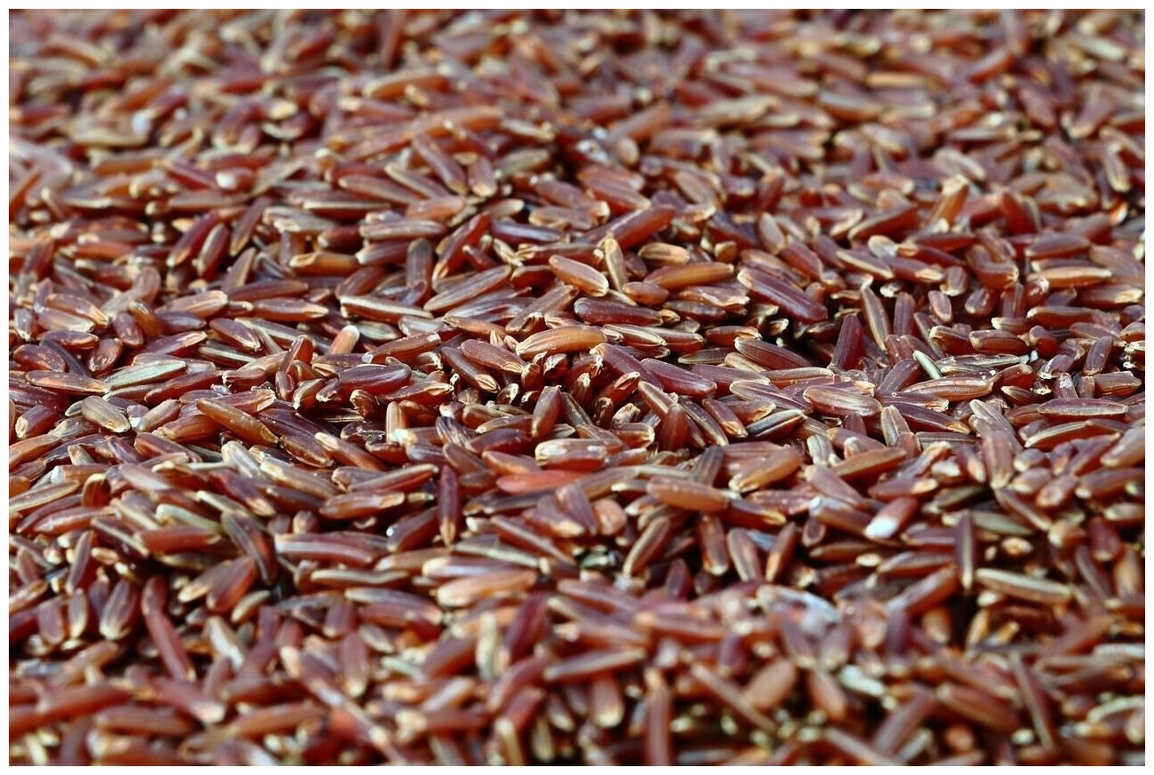 Рис красный сорт "Жасмин" 10 кг / Рис для плова, гарниров, вторых блюд - фотография № 2