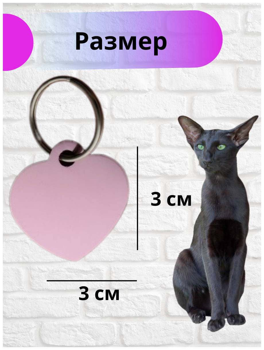 Адресник- брелок на ошейник с QR кодом для собак и кошек - фотография № 4