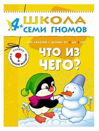 ШСГ Пятый год обучения. Что из чего? - фото №1
