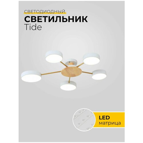 Светильник потолочный Tide, светодиодный, накладной, металл, акрил, дерево, золотой, белый, светлое дерево, скандинавский, LED
