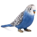 Mojo Волнистый попугайчик 387292 - изображение
