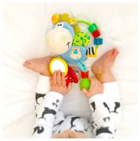 Погремушка Playgro Activity Rattle розовый