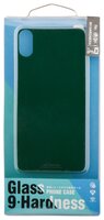 Защитное стекло WK Glass Phone Case Back Paster для Apple iPhone X зеленый