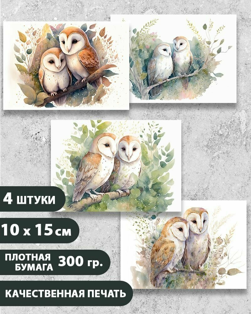 Набор открыток "Птицы Сова Сипуха 2", 10.5 см х 15 см, 4 шт, InspirationTime, на подарок и в коллекцию