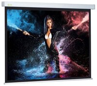 Рулонный матовый белый экран cactus Wallscreen CS-PSW-168x299