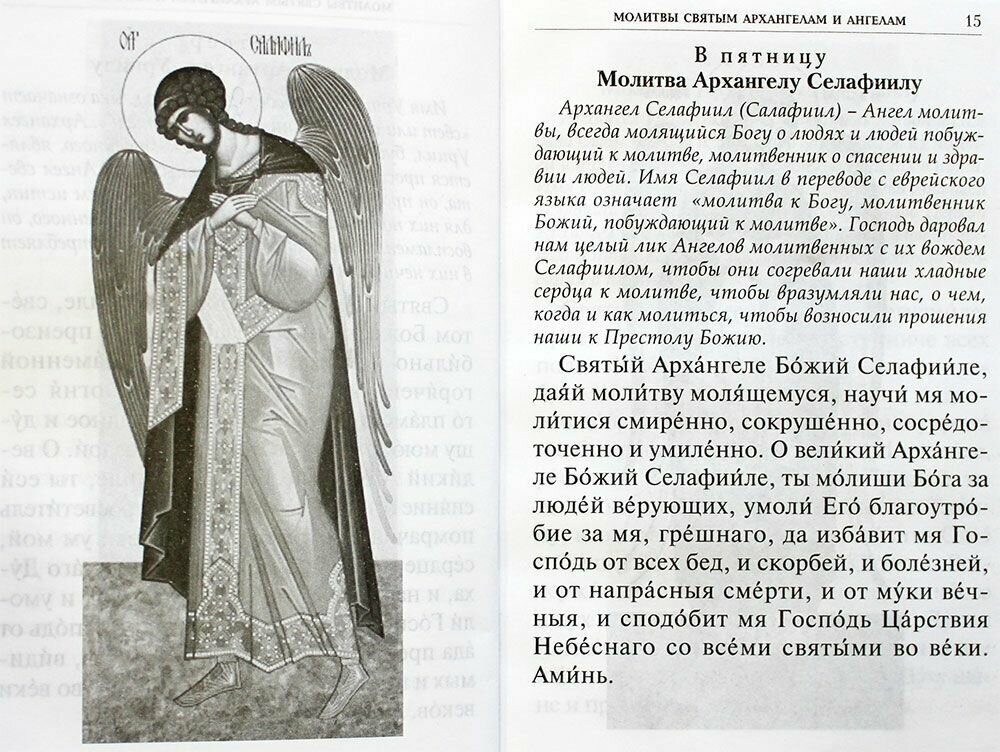 Книга Под покровом ангельских Сил - фото №12