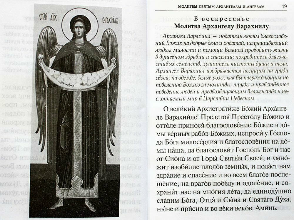 Книга Под покровом ангельских Сил - фото №14