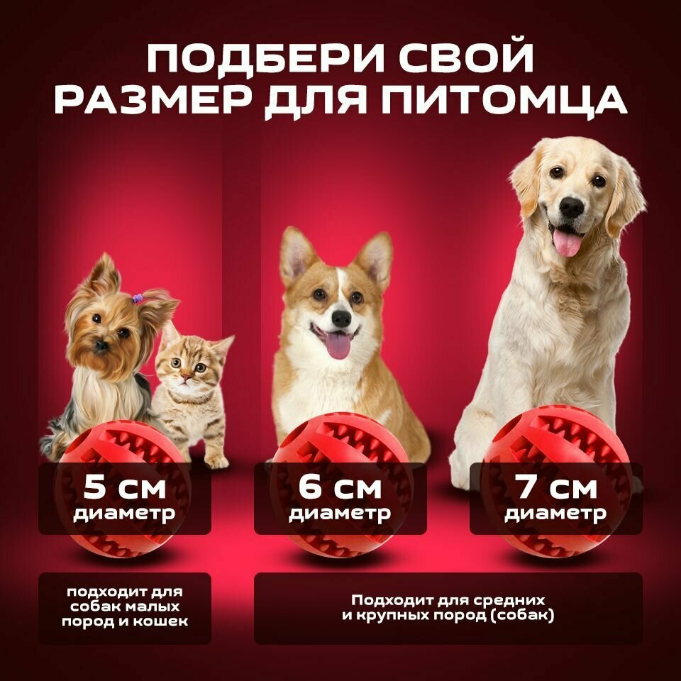 Мяч для собак красный 6 см/для чистки зубов /развивающая жевательная игрушка для мелких и средних пород - фотография № 4