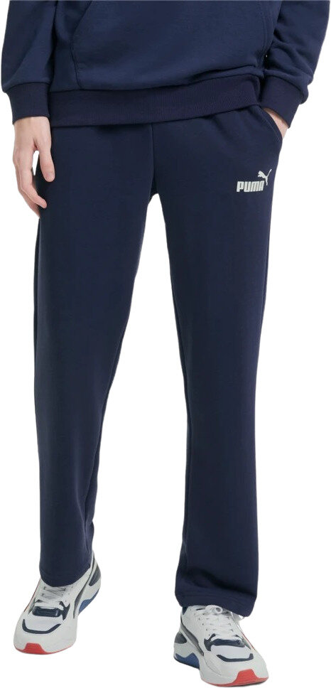 Брюки спортивные PUMA Essentials Logo Men's Sweatpants