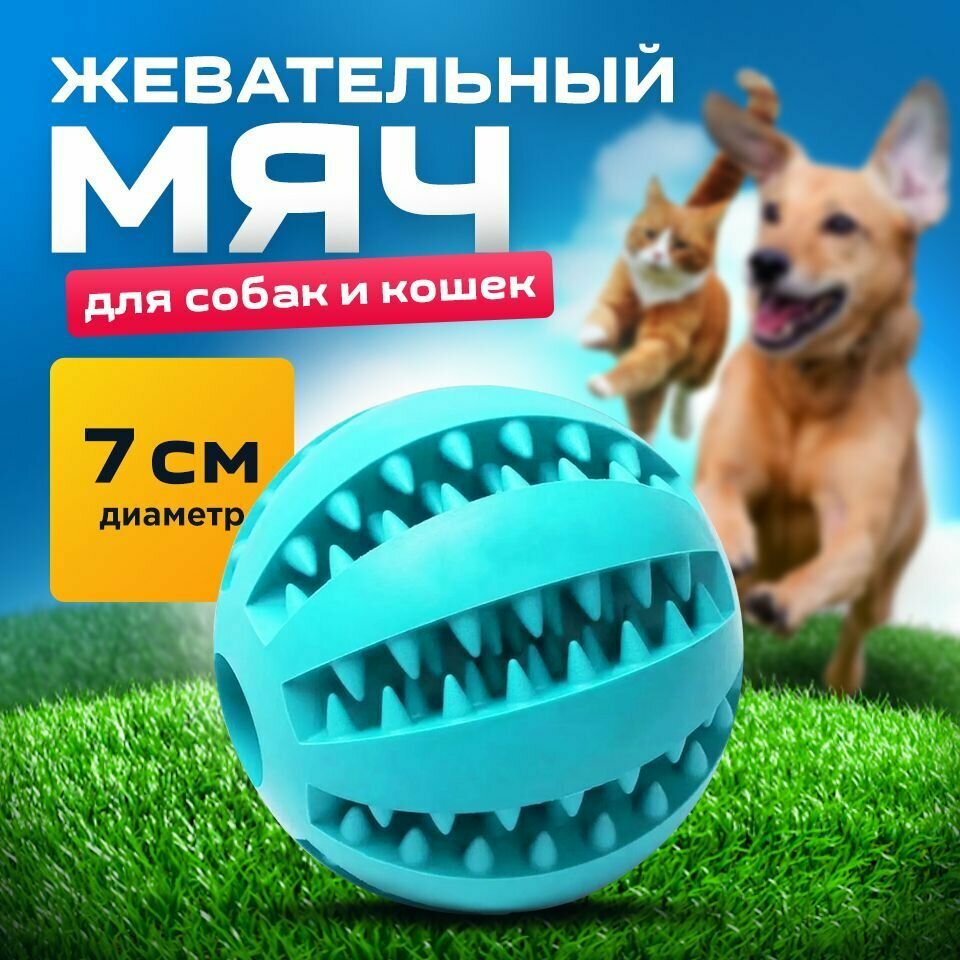 Мяч для собак голубой 7 см/для чистки зубов /развивающая жевательная игрушка для мелких и средних пород