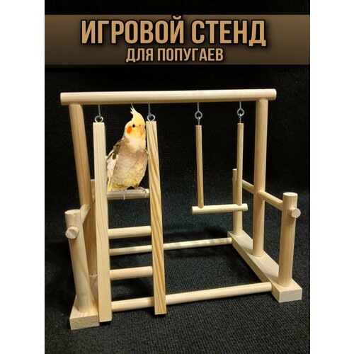 игровой стенд для маленьких попугаев Игровой стенд для попугаев из натурального дерева