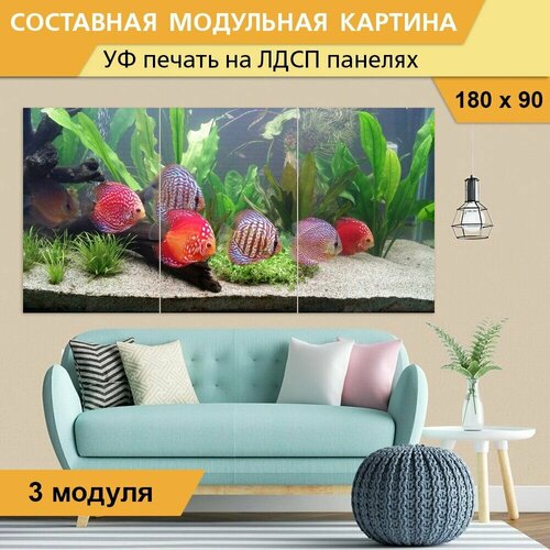 Модульная картина 