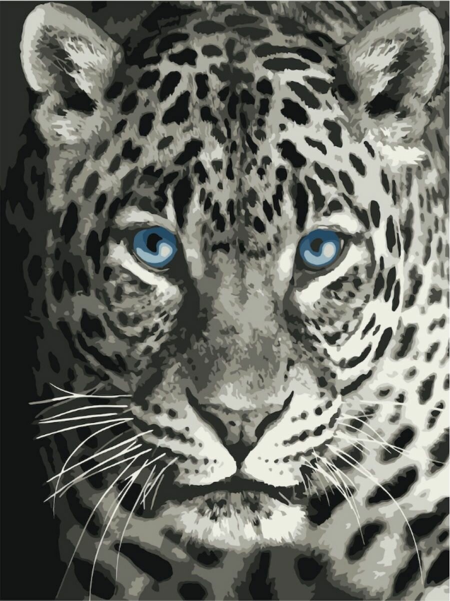 Картина по номерам Леопард 40х50 см АртТойс