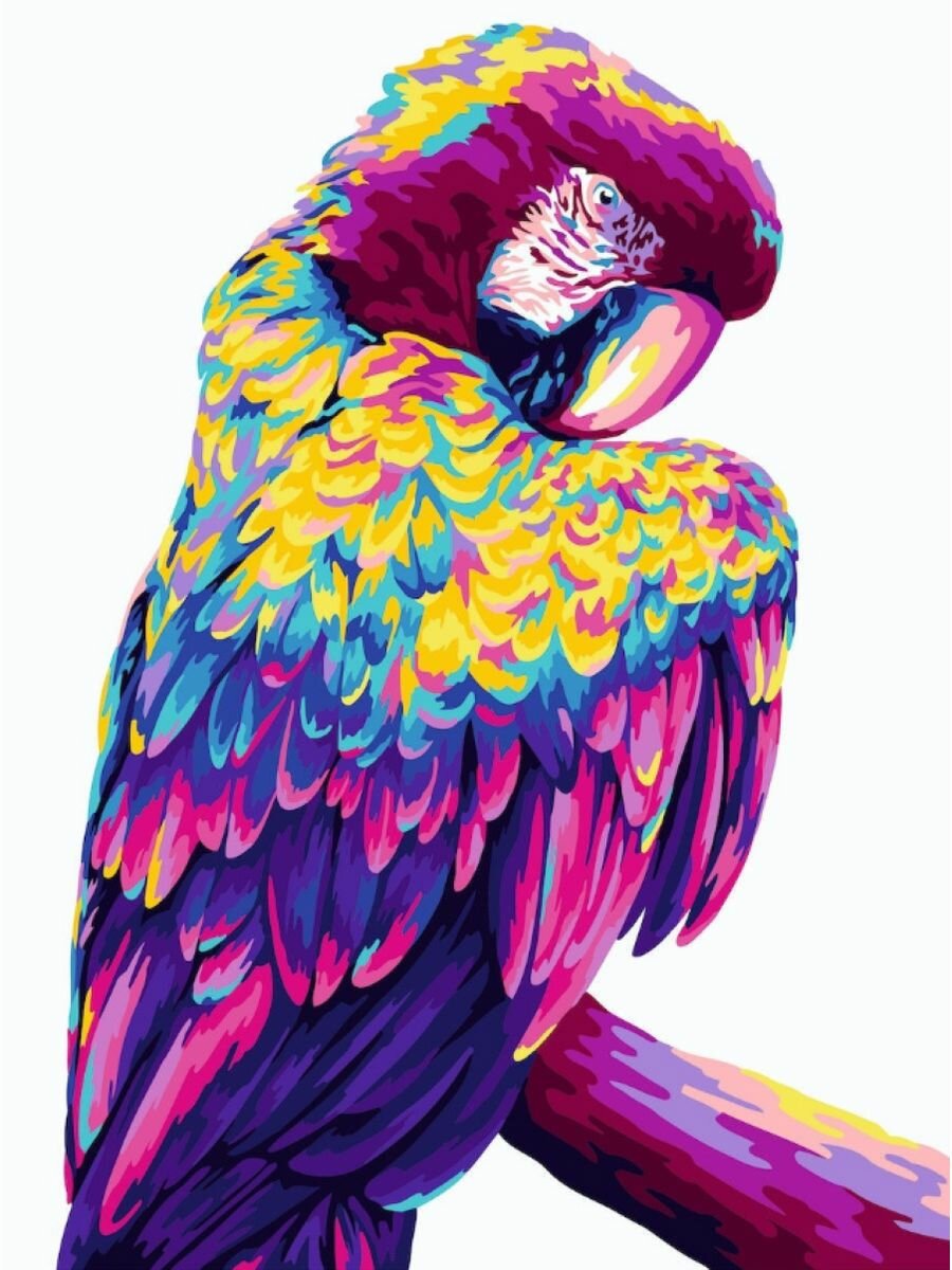 Картина по номерам Попугай Ара 40х50 см АртТойс