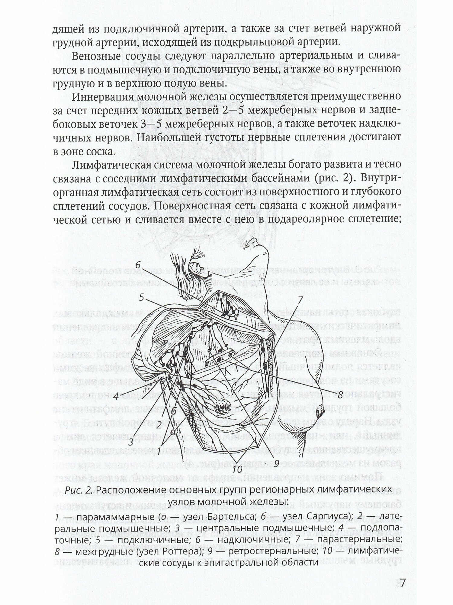 Хирургия молочной железы. Руководство для врачей - фото №10