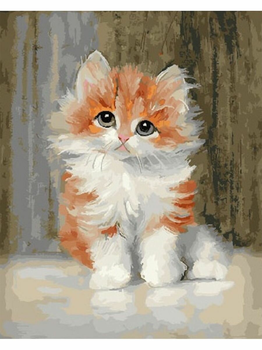 Картина по номерам Милый котенок 40х50 см АртТойс
