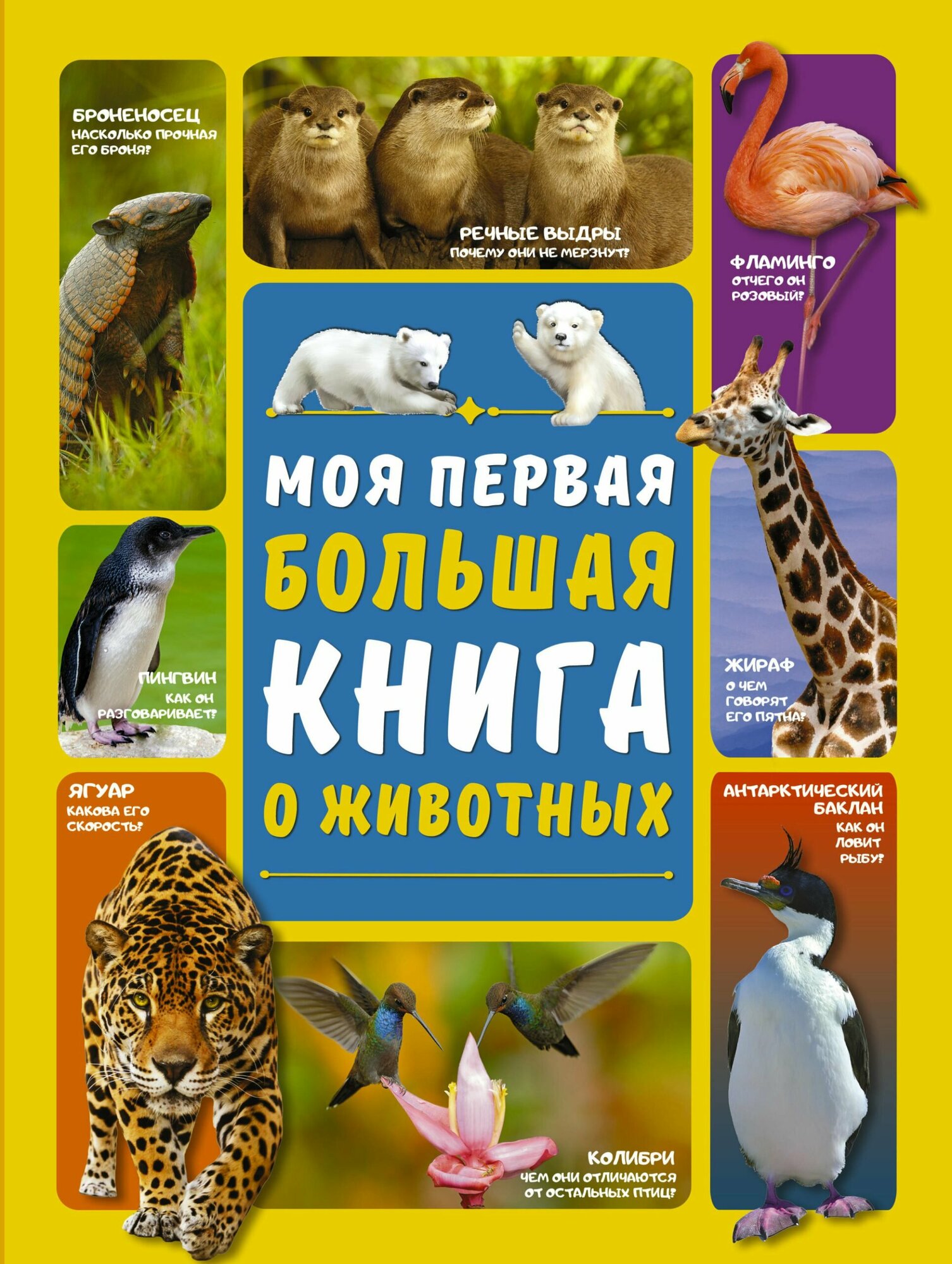 Моя первая большая книга о животных Книга Вайткене Любовь 6+