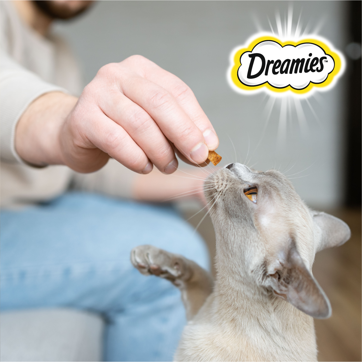 Лакомство для кошек Dreamies подушечки с лососем, 12 пачек по 60 г - фотография № 9