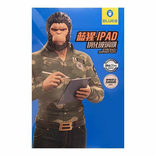   BLUEO Clear HD Anti-static  Apple iPad 10.9 (10-th Gen 2022),  (+installer)