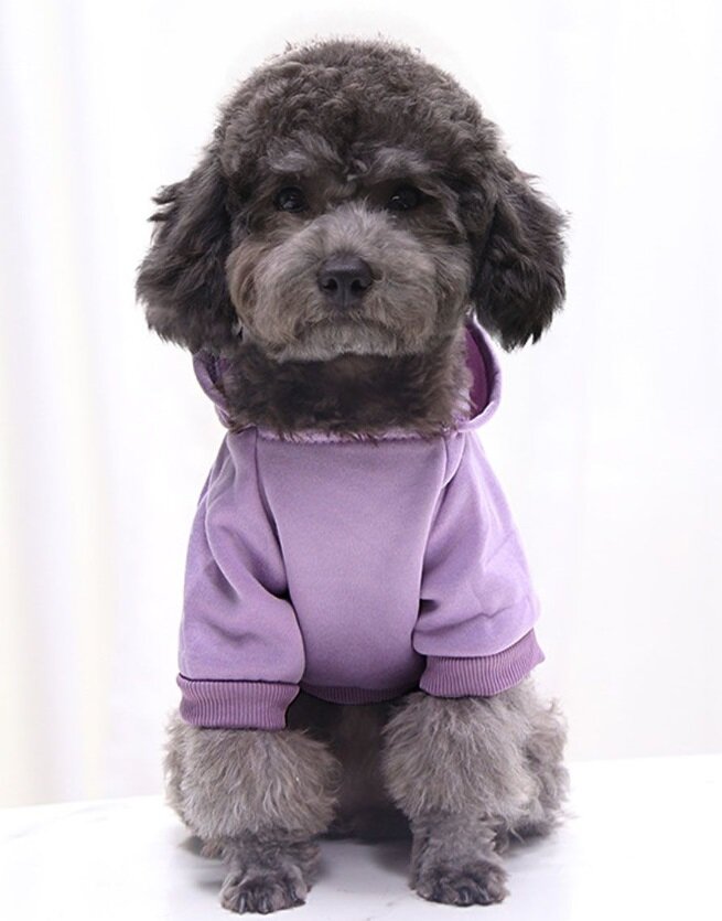 Кофта - толстовка для мелких пород собак "BRO Style", цвет фиолетовый, р M (на флисе) обхват груди 42 см, обхват шеи 36 см, длина по спинке 30 см.