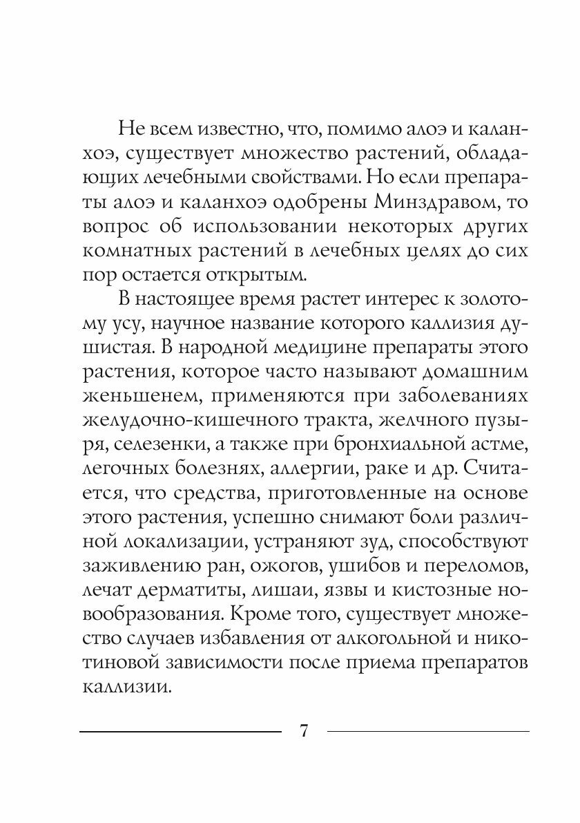 Золотой ус и другие природные целители - фото №7