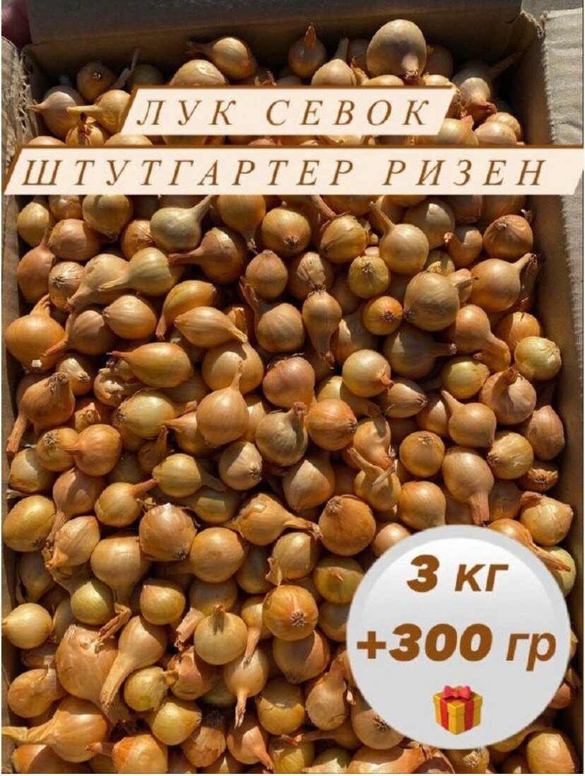 Лук севок 3 кг