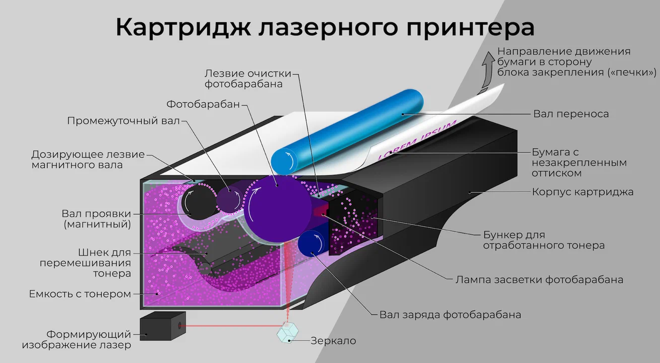 Картридж для принтеров Brother TN-1075 - фотография № 7