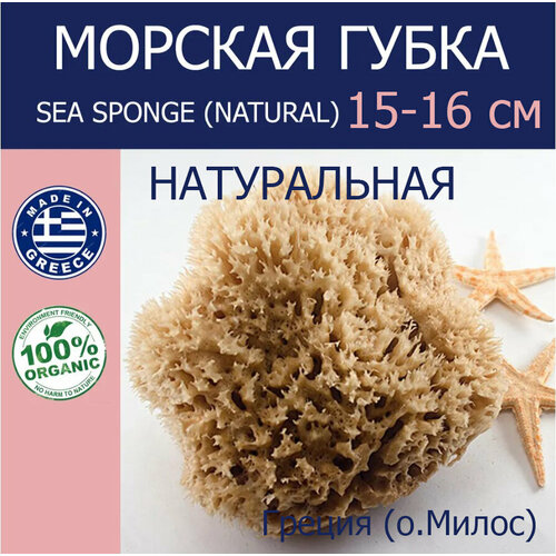 Губка морская натуральная Milos, HONEYCOMB, 15-16 см Греция (о. Милос)