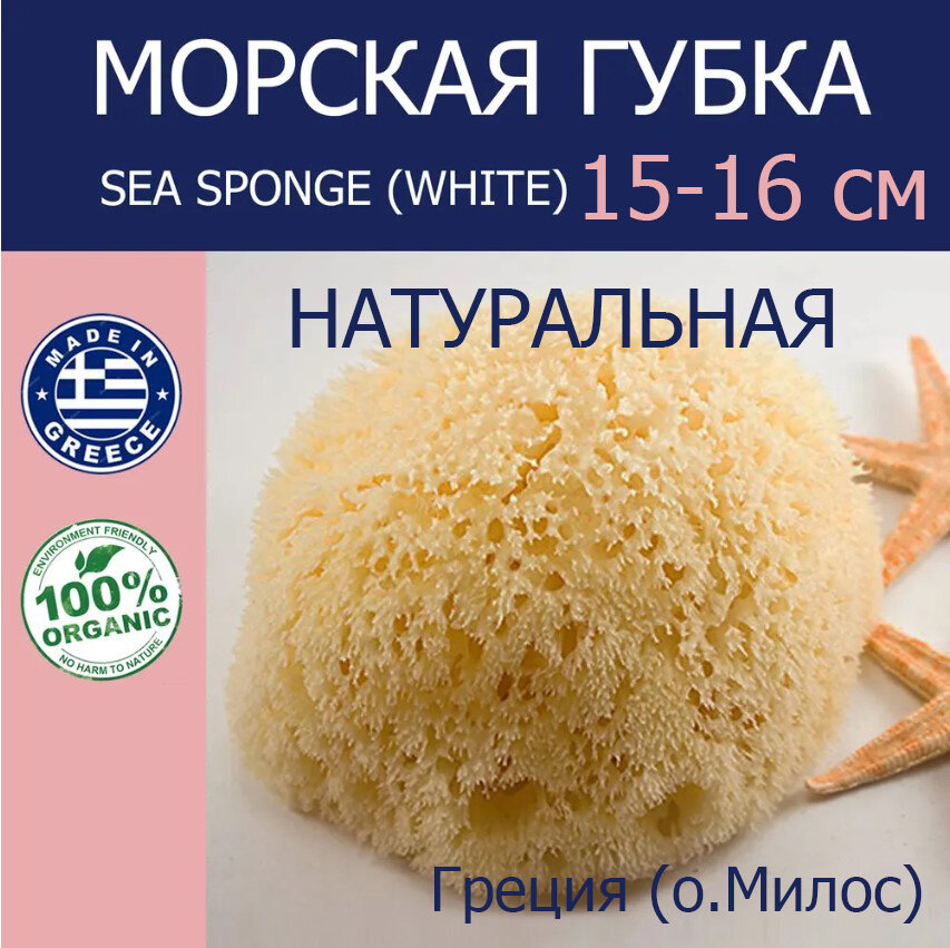 Губка морская натуральная Milos, HONEYCOMB, 15-16 см Греция (о. Милос)