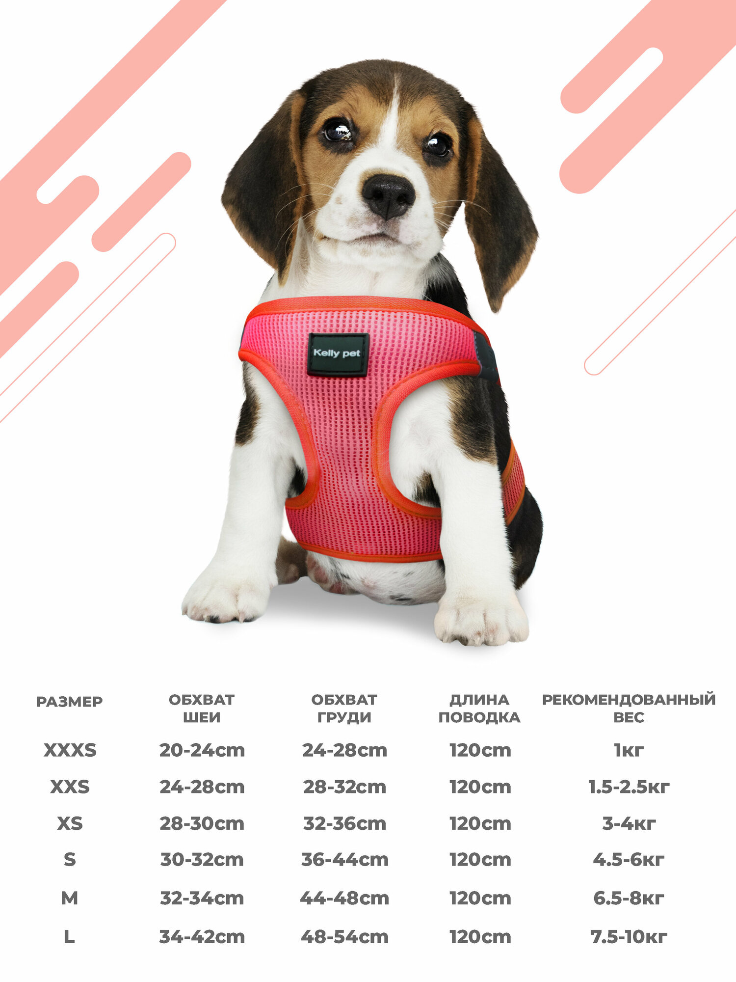 Шлейка для собак и кошек Boomshakalaka,со светоотражающими элементами,с поводком 120 см,размер XS(обхват 32-36 см),вес до 5 кг,цвет красный - фотография № 4