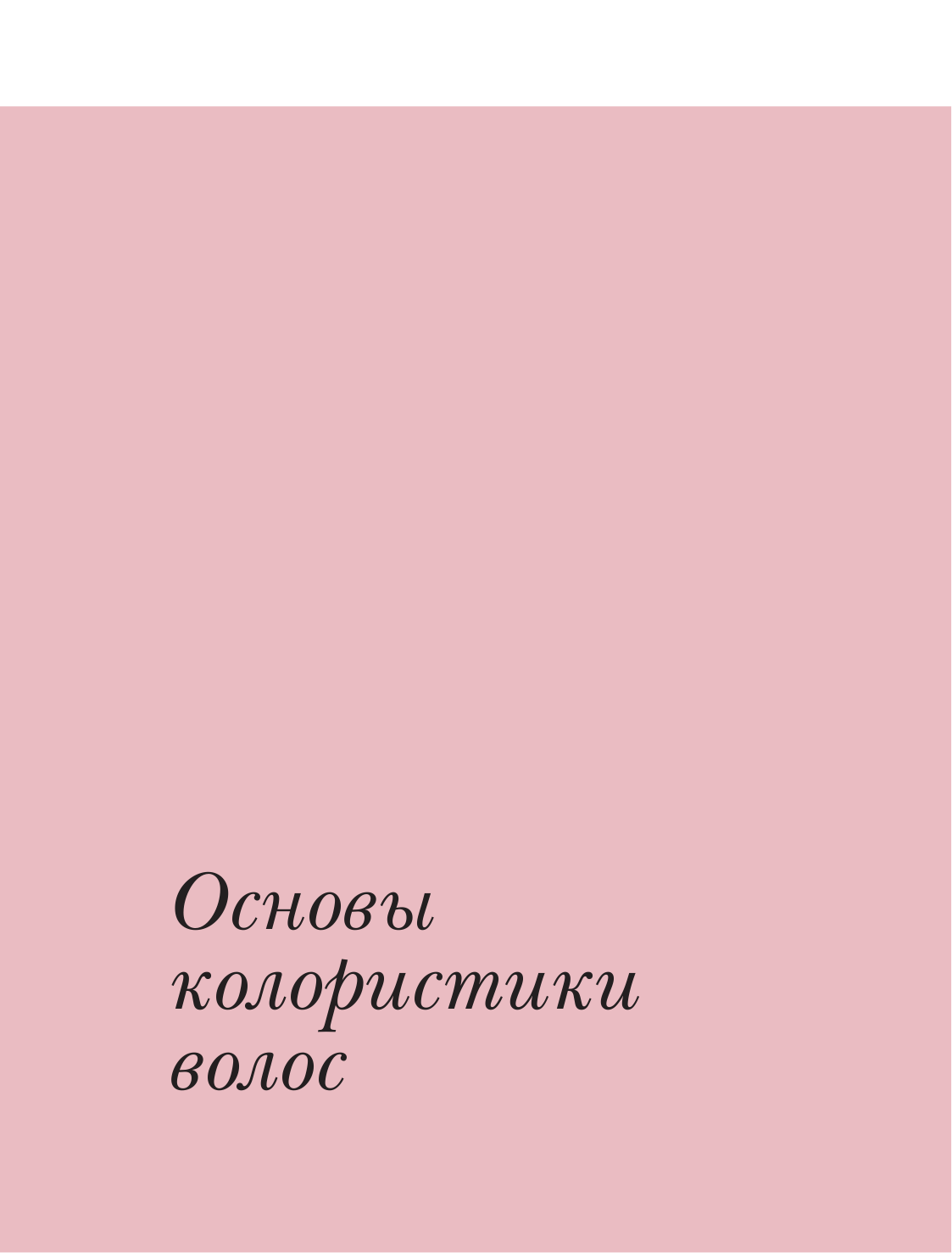 Библия парикмахера колориста. Главная книга по созданию идеального цвета волос - фото №10