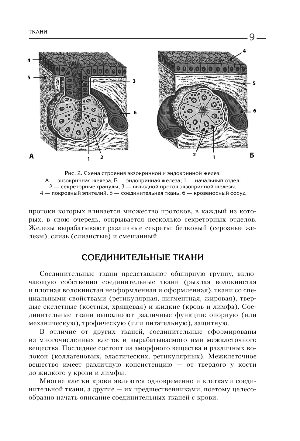 Биология для абитуриентов: ЕГЭ, ОГЭ и Олимпиады любого уровня сложности. В 2-х томах. Том 2 - фото №12