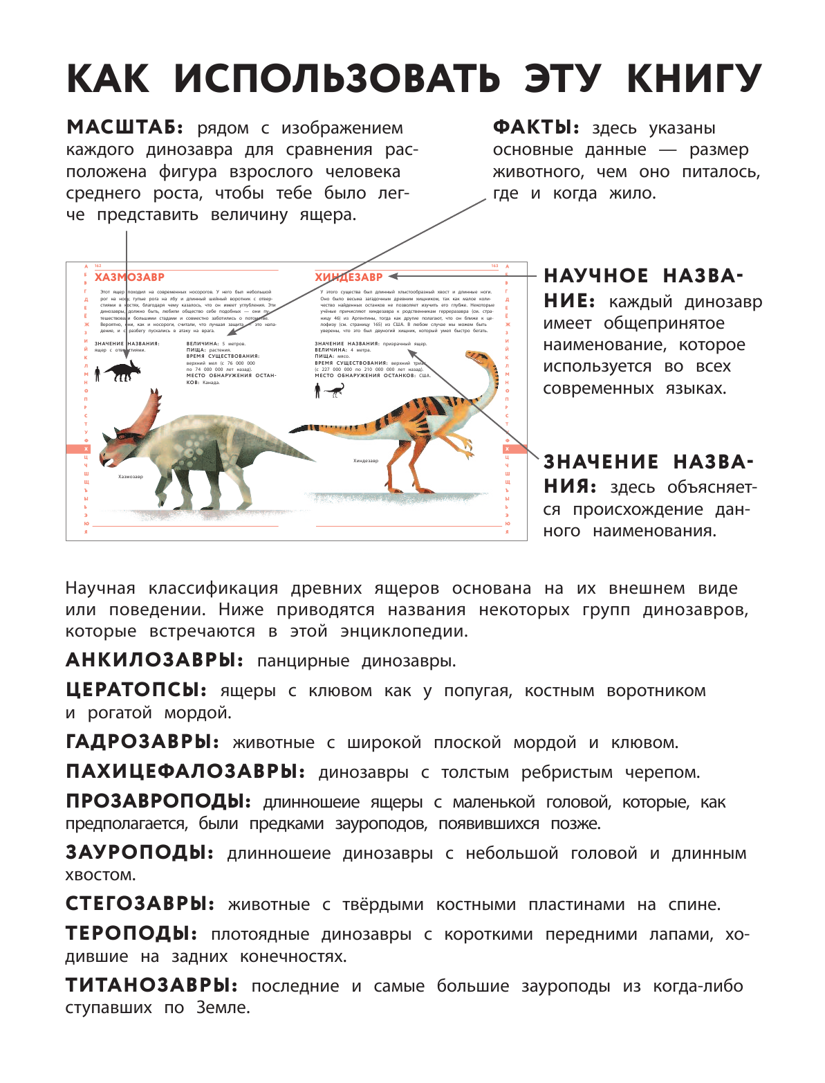 Динозавры. Полный иллюстрированный словарь - фото №14