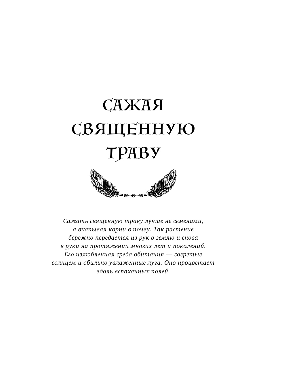 Голос земли. Легендарный бестселлер десятилетия о сокровенных знаниях индейских племен, научных исследованиях и мистической связи человека с природой - фото №12