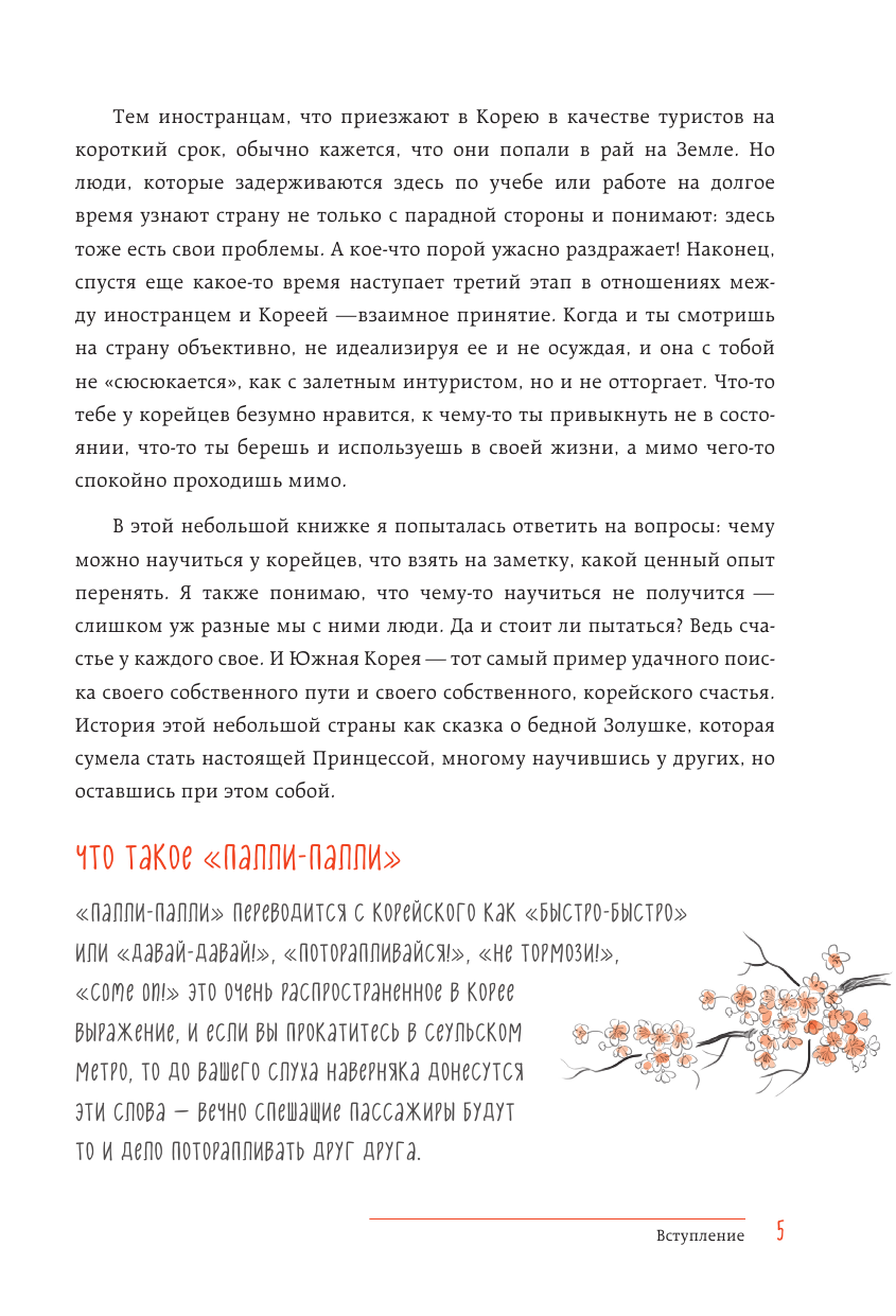 Жизнь в стиле Палли-палли или особенности южно-корейского счастья. Как успеть все и получить от этого удовольствие. - фото №5