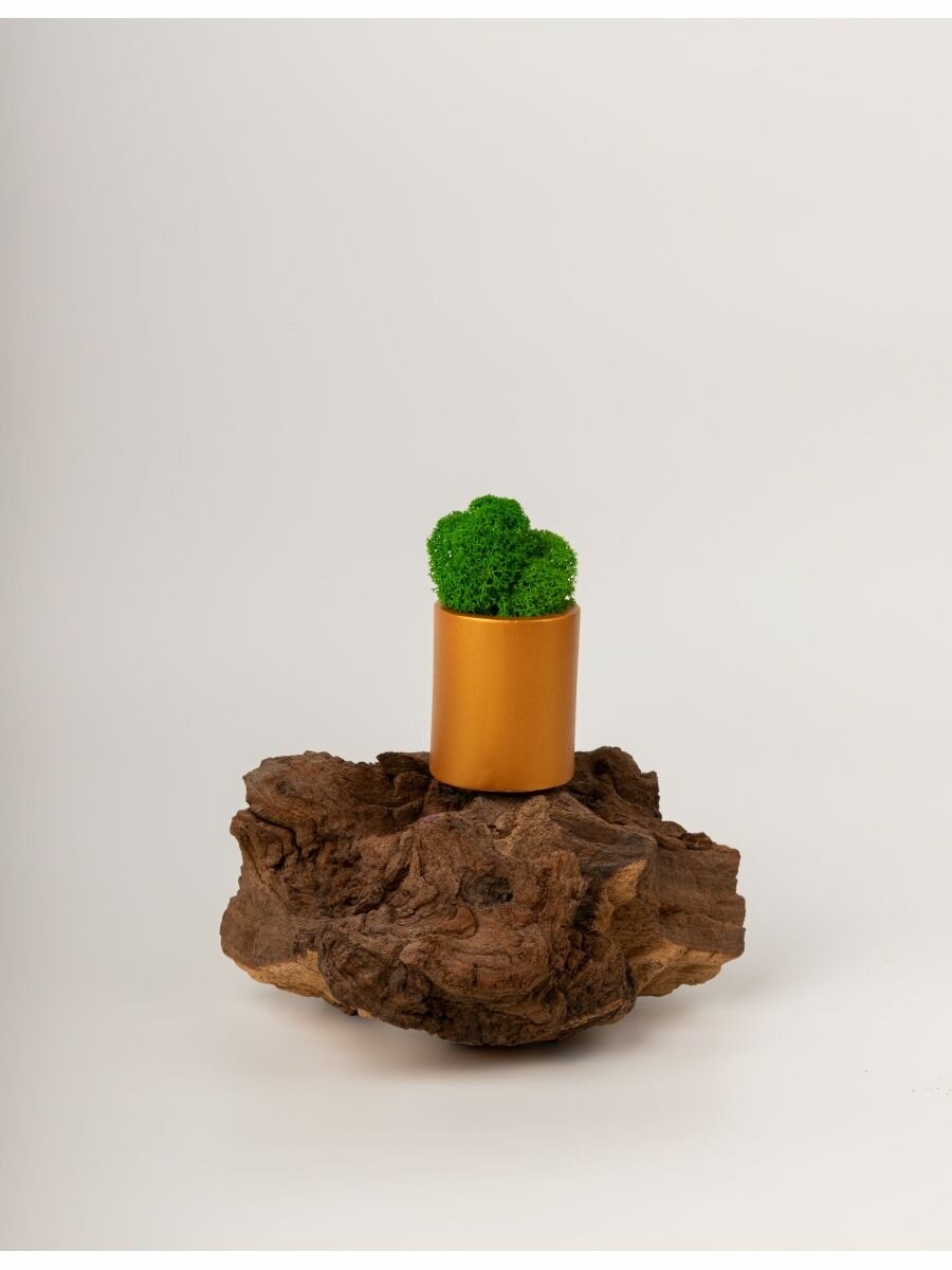 фото Кашпо "Цилиндр"