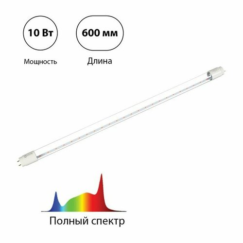 подвесной патрон под фитолампу эра fito holder g13 ip65 mini для ламп fito до 600 мм 2xg13 с выключателем вилкой 1 5 м Фитолампа светодиодная, 10 Вт, 600 мм, цоколь G13, полный спектр, LED-T8-FITO, IN HOME