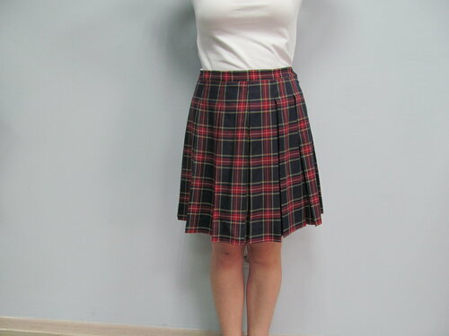 Школьная юбка Классики, размер 46, мультиколор, красный
