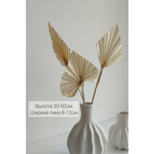 Букет из сухоцветов, букет из стабилизированных цветов, Сухоцвет Лист пальмы - 3 шт.