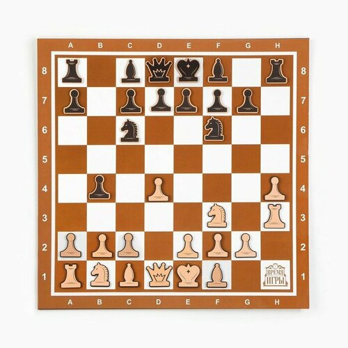 Время игры Демонстрационные шахматы Время игры на магнитной доске, 32 шт, поле 40 х 40 см, коричневые