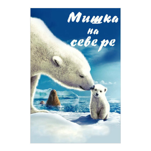 Мишка на севере: В поисках ледяного пути (региональное издание) (DVD) там на севере dvd