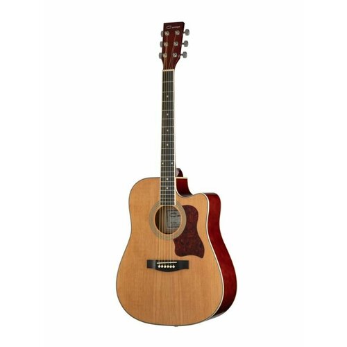 Caraya F531-BS Acoustic Guitar