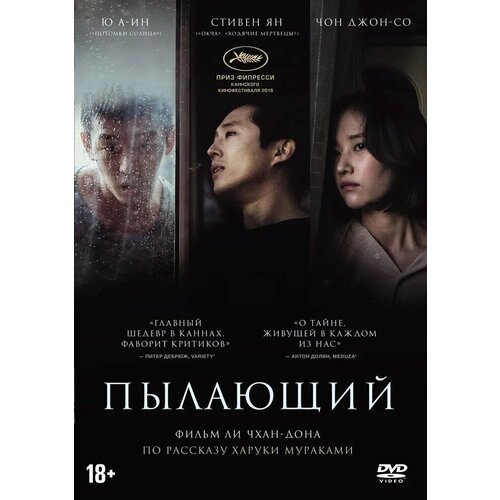 Пылающий DVD-video (DVD-box) кислота dvd video dvd box