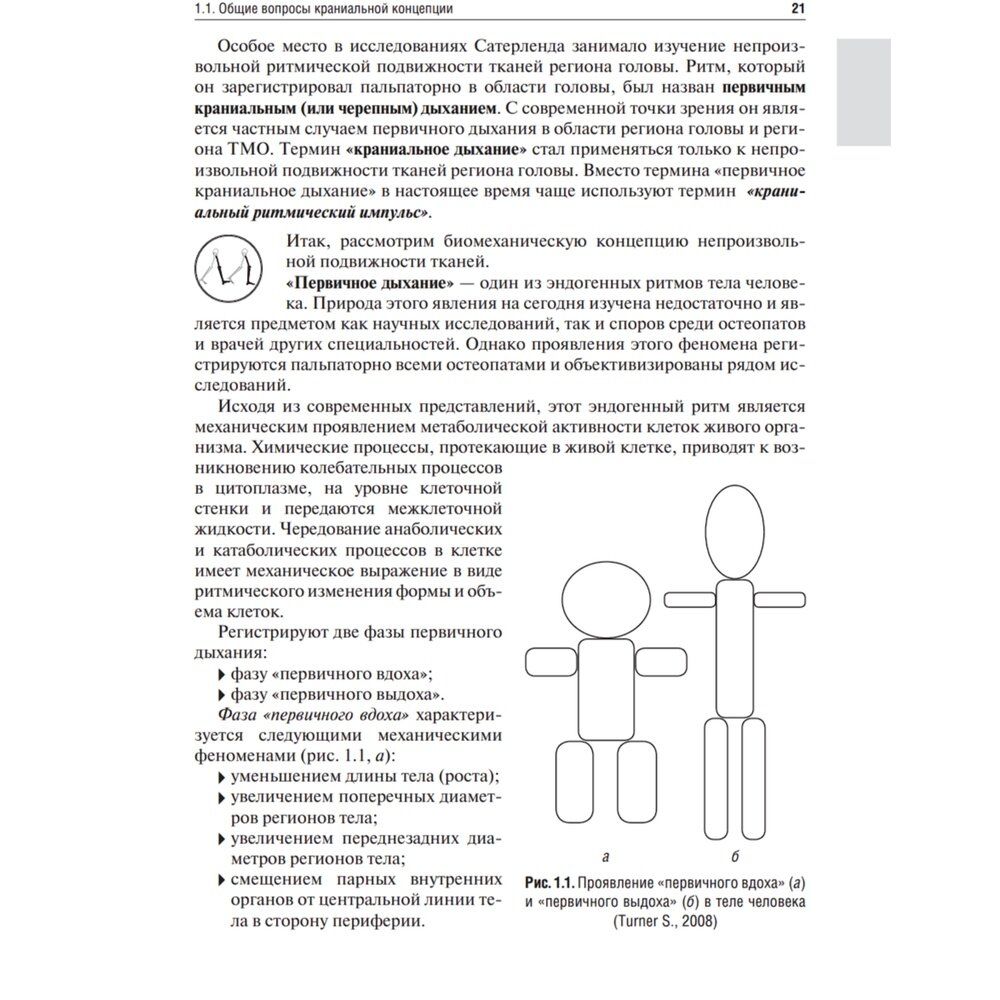 Остеопатия. Соматические дисфункции региона головы и твердой мозговой оболочки. Учебник - фото №14