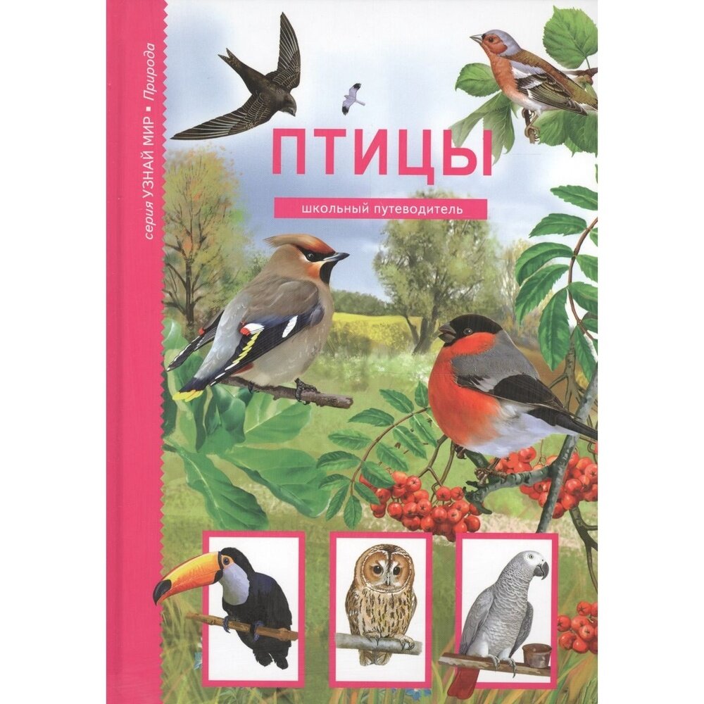 Птицы (Дунаева Юлия Александровна, Смирнова С.В. (иллюстратор)) - фото №6