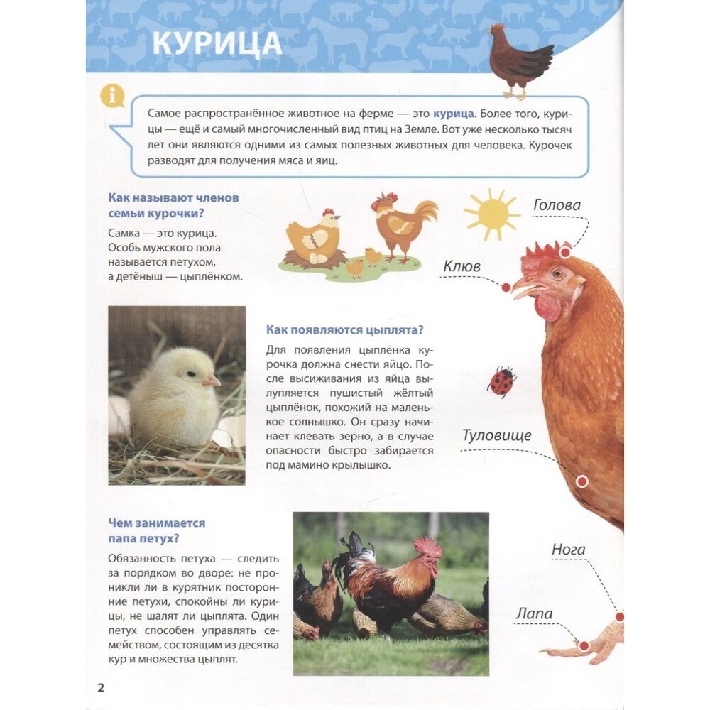 Всё о животных фермы малышам (Ершова М. (ред.)) - фото №14