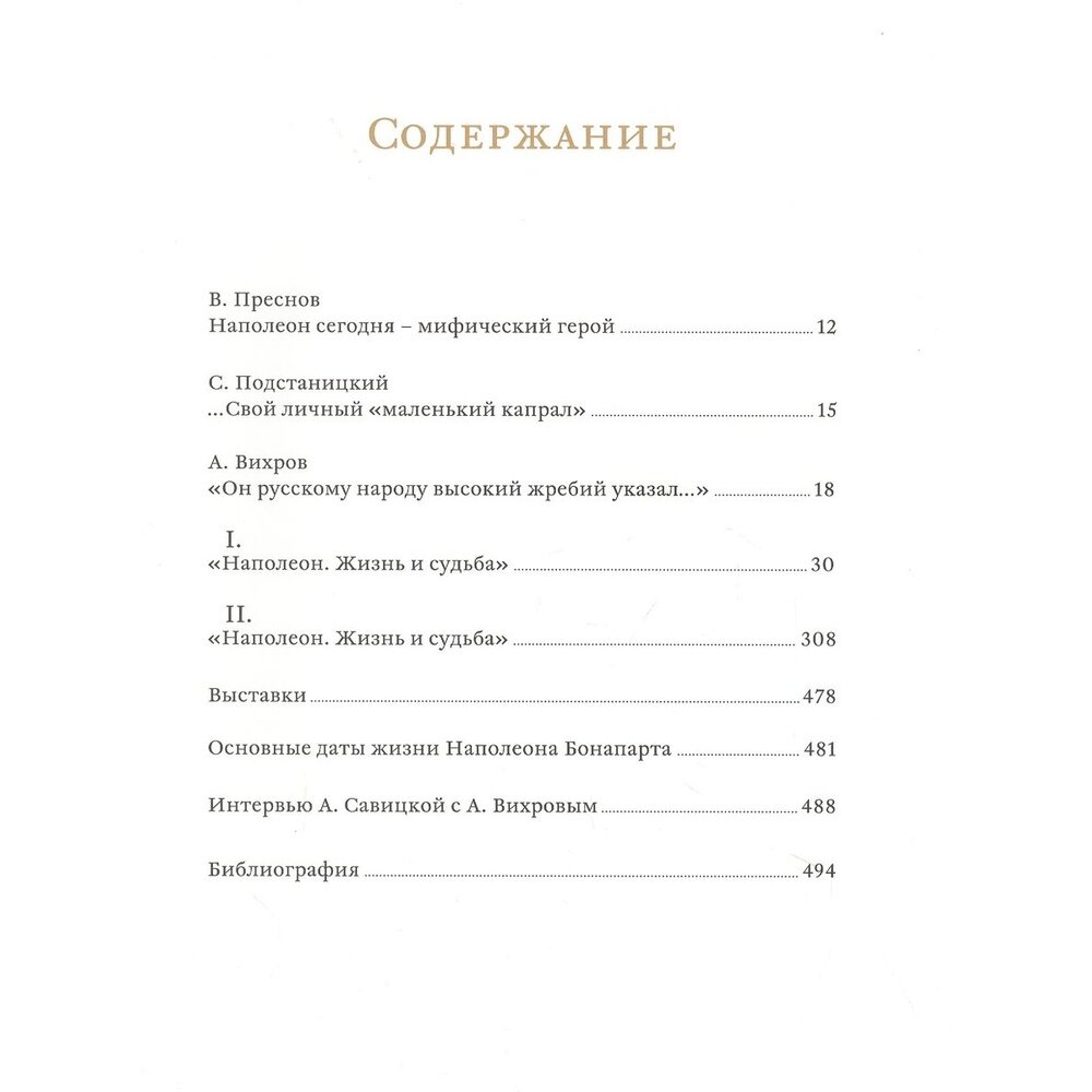 Наполеон. Жизнь и судьба (Вихров Александр Н.) - фото №19